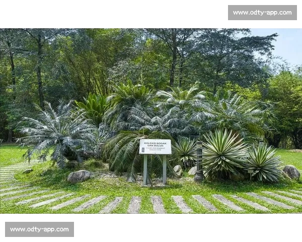 金杯赛非洲独苗：南非 2005 年的跨洋之旅